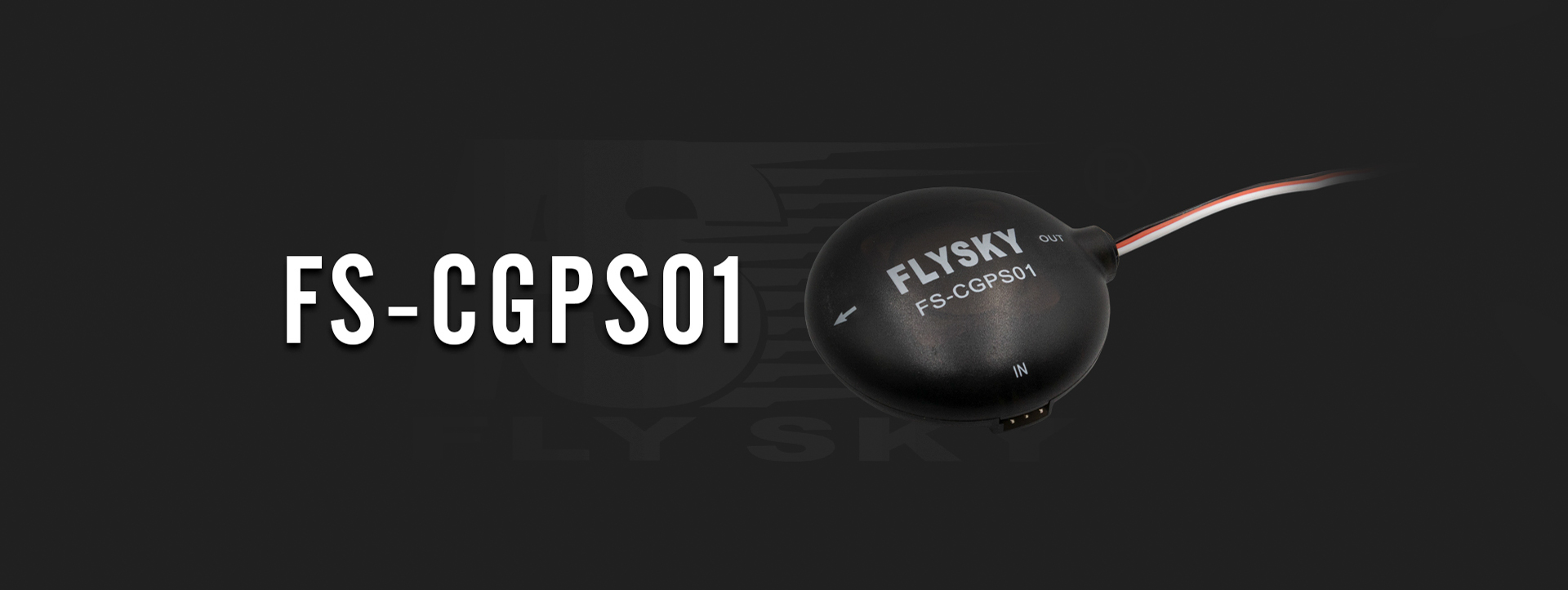 FS-CGPS01