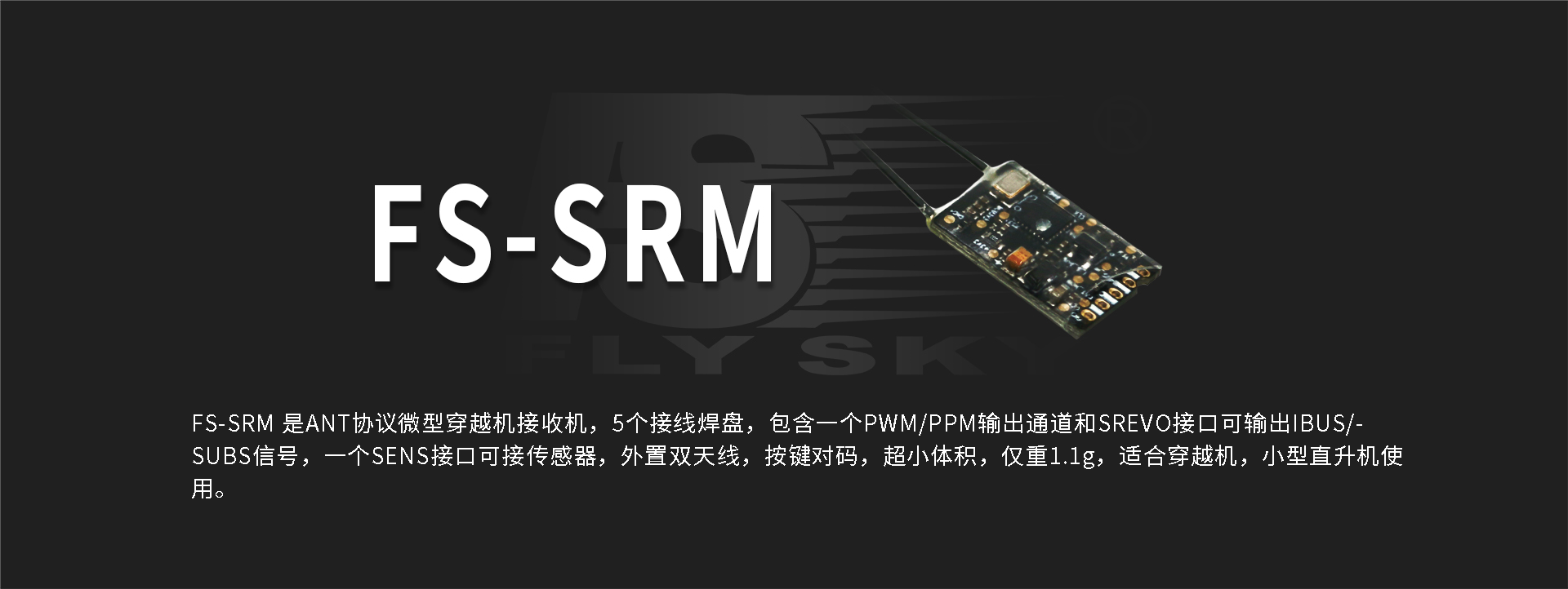 FS -SRM