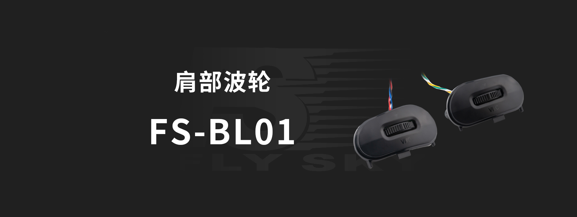 FS-BL01