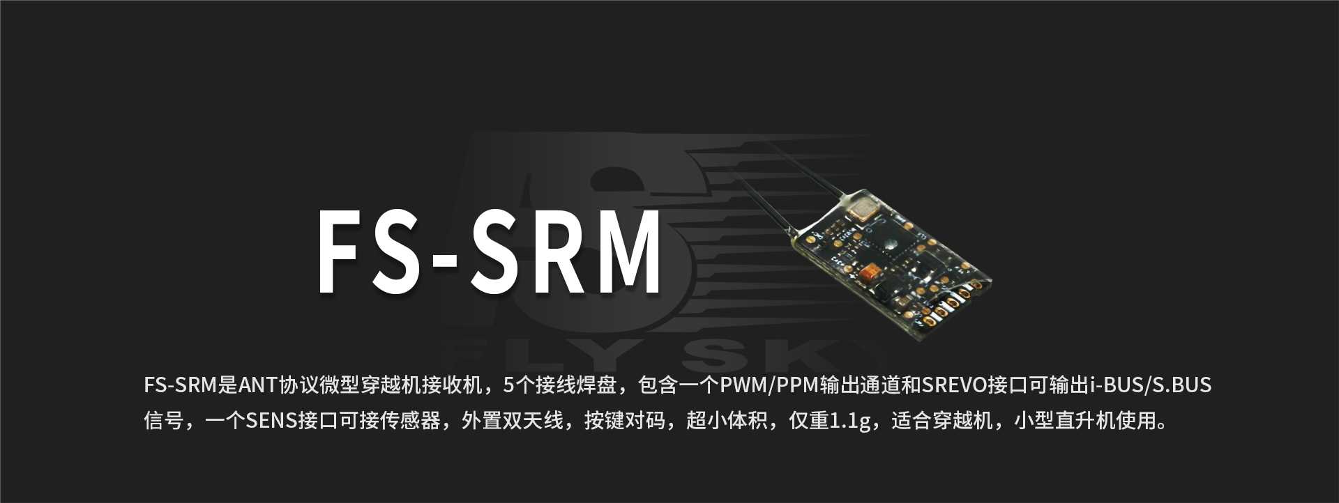 FS -SRM